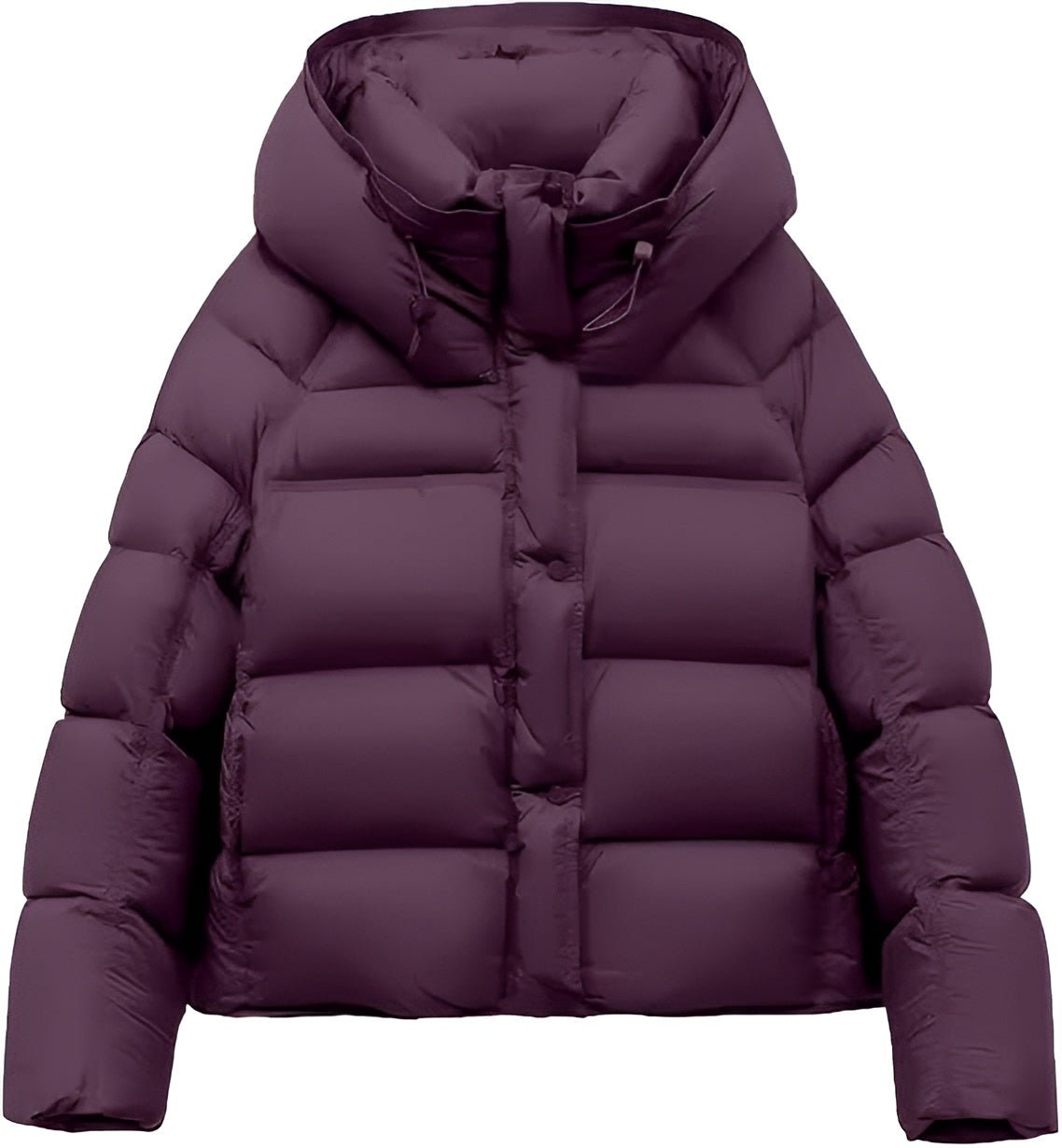 Madeline Cropped Down Puffer Jacket with Drawstring Hood and Button Placket